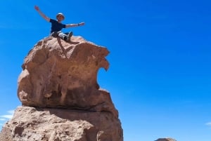 Uyuni: Salt Flats 3-Day Tour with Meals and Guide