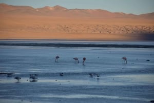 Uyuni: Salt Flats 3-Day Tour with Meals and Guide