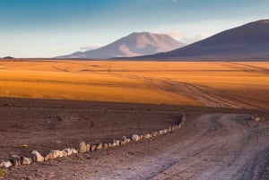 Uyuni Salt Flats 3D Tour + Transfer to San Pedro de Atacama