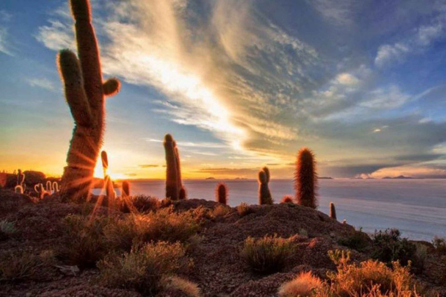 Uyuni: Suolatasangot ja Incahuasin saari kokopäiväretki