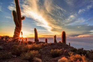 From Uyuni: Uyuni Salt Flats and Sunset Full-Day Tour