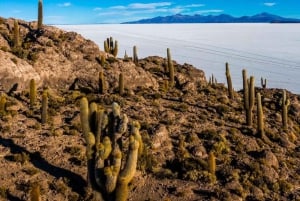 From Uyuni: Uyuni Salt Flats and Sunset Full-Day Tour