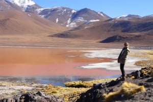 Uyuni Salt Flats et Red Lagoon 3 jours | Anglais dans le guide |