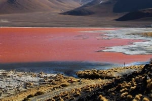 Uyuni zoutvlaktes en rode lagune 3-daagse | Engels in gids |