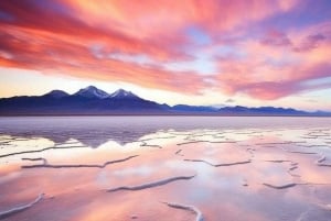 Uyuni: Saltleiligheter og omvisning i solnedgang med lunsj