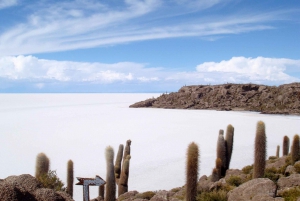 Uyuni: Guidet tur til saltslettene og solnedgang med lunsj