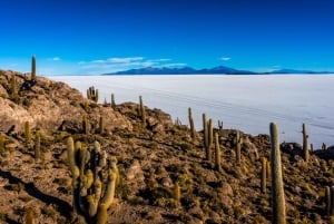 Uyuni: Tour guiado por el Salar y puesta de sol con almuerzo