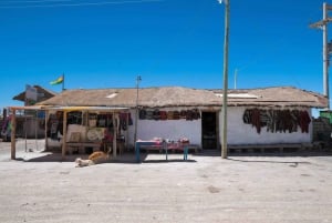 Uyuni Saltlägenheter. Klassisk heldag. Spansk chaufför/guide