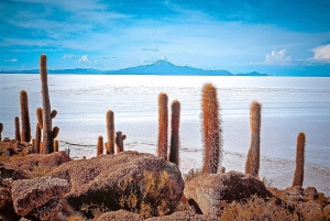 Uyuni: Dagsutflykt till Salt Flats + lunch + solnedgång + guide