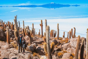 Uyuni: Salt Flats Day Trip + Lunch + Sunset + Tour Guide