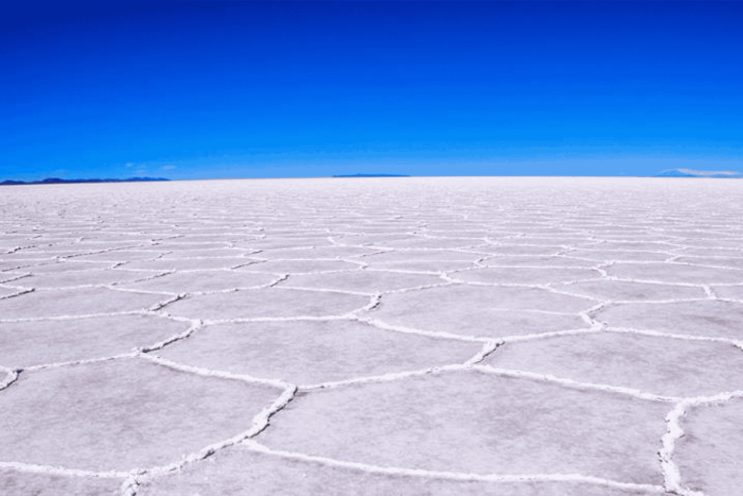 Uyuni Salt Flats heldagstur