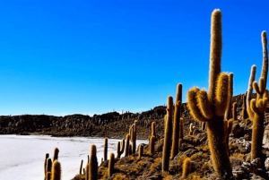 Visite d'une jounée des salines d'Uyuni