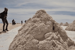 Uyuni Salt Flats heldagstur