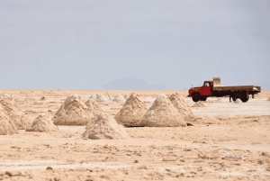 Uyuni Salt Flats heldagstur