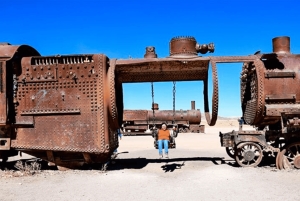 Uyuni Salt Flats heldagstur