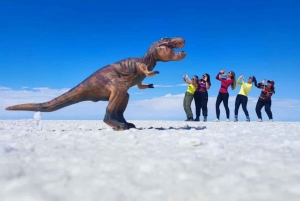 Uyuni saltsletter hele dagen + Tunupa-vulkanen (privat)