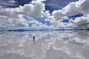 Journée complète dans les salines d'Uyuni + Volcan Tunupa (privé)