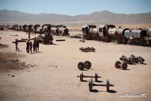 Tour delle Saline di Uyuni di 1 giorno con guida in inglese