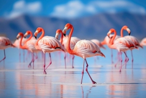 Uyuni Zoutvlaktentocht 3D/2N | Schoonheid + Verbazingwekkende Landschappen