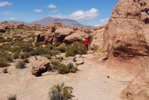 Uyuni Salt Flats Tour | fra San Pedro de Atacama 3D/2N