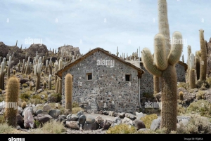 Uyuni Salt Flats tours 1 day