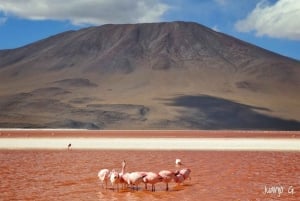 Excursão padrão a Uyuni - 3 dias