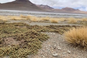 Tour standard di Uyuni - 3 giorni