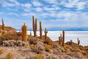 Excursão a Uyuni: Guia em inglês, café da manhã, almoço e taxas de entrada