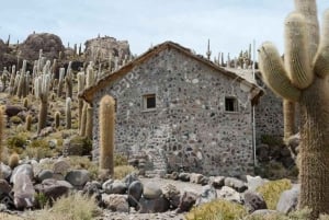 Uyuni: Train Cemetery, Colchani, and Salar de Uyuni Tour