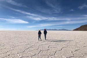 Uyuni: escursione di 1 giorno al deserto di sale