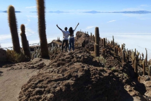 Uyuni: escursione di 1 giorno al deserto di sale
