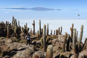 Uyuni : Circuit de 3 jours des salines d'Uyuni et de San Pedro de Atacama