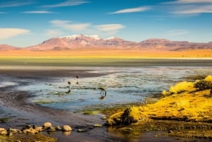 Uyuni: Excursión de 3 días al Salar de Uyuni y San Pedro de Atacama