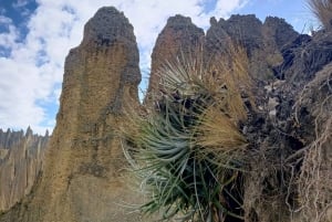 Valle de las animas, dolina księżycowa, killi killi wycieczka półdniowa