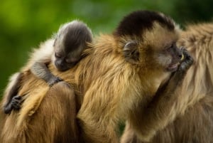 Wildlife rescue center and preservation park