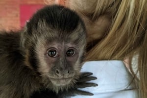 Centro de rescate de animales salvajes y parque de preservación