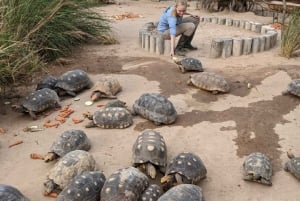 Centro de rescate de animales salvajes y parque de preservación