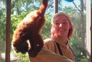 Centro de resgate de vida selvagem e parque de preservação