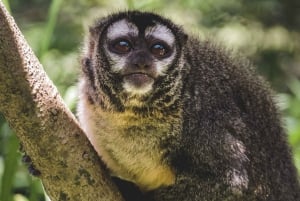 Centro de rescate de animales salvajes y parque de preservación