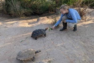 Centro de rescate de animales salvajes y parque de preservación