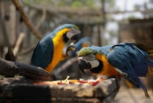 Centro de rescate de animales salvajes y parque de preservación