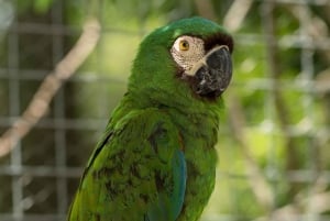 Centro di salvataggio della fauna selvatica e parco di conservazione