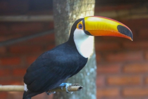 Centro di salvataggio della fauna selvatica e parco di conservazione