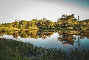 Dierenopvangcentrum en natuurbehoudspark