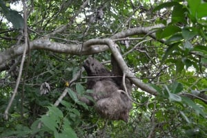 Centro di salvataggio della fauna selvatica e parco di conservazione