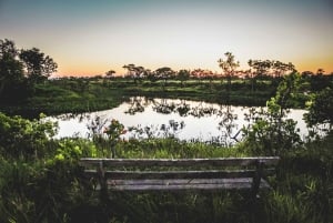 Wildlife rescue center and preservation park