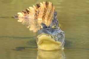 Wildlife rescue center and preservation park