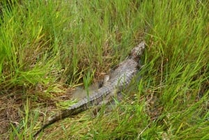 Centro di salvataggio della fauna selvatica e parco di conservazione