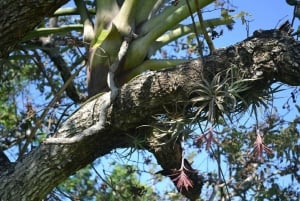 Centro de resgate de vida selvagem e parque de preservação