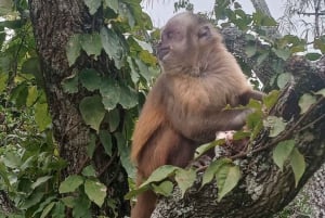 Centro di salvataggio della fauna selvatica e parco di conservazione